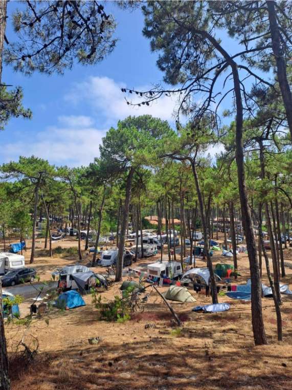 Campin municipal Le Gurp dans le Médoc à 2 minutes de la mer